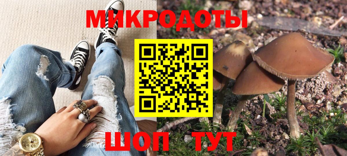 Псилоцибиновые грибы GOLDEN TEACHER  Вход с VPN  Корсаков  Галлюциногенные грибы Psilocybine cubensis 