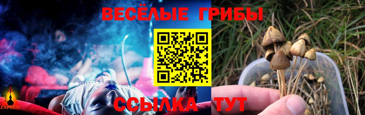 Псилоцибиновые грибы Cubensis Корсаков